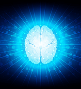 アメリカ英語の「キーサウンドである母音の音」を周波数を使って脳に認識させるドリル